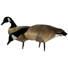 SKYFALLDECOYS Canada Goose Decoys - 12/PK | SAIL