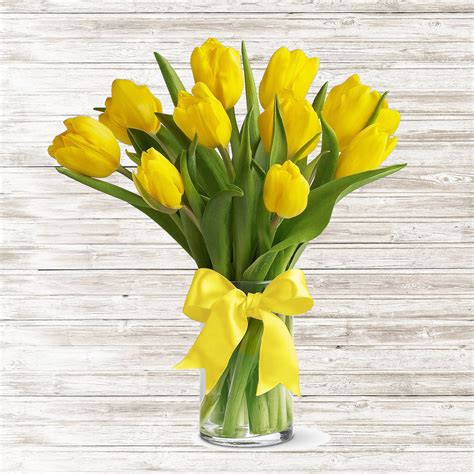 Free photo: Tulips bouquets - Bouquet, Multicolor, Tulip - Free ...