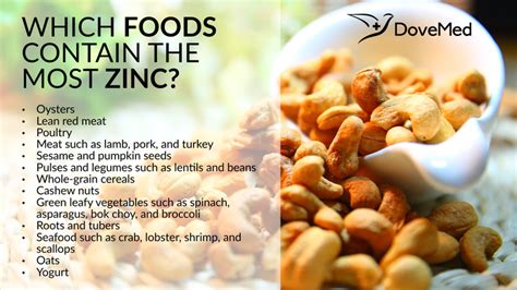 Which Foods Contain The Most Zinc?