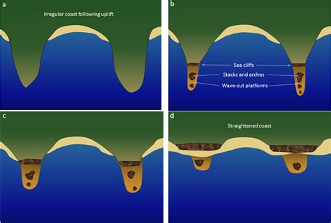 17.2 Landforms of Coastal Erosion – Physical Geology