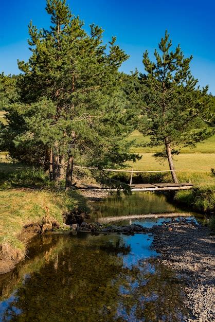 Premium Photo | View at crni rzav river on zlatibor mountain in serbia