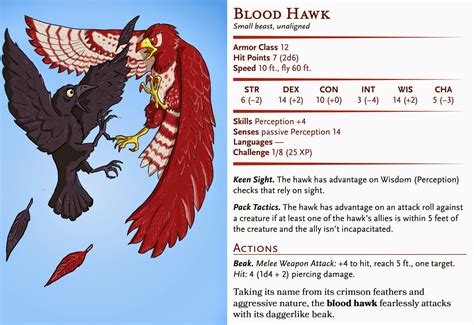 D&D Basic Monsters: Blood Hawk