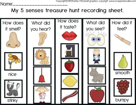 5 senses treasure hunt and a freebie!