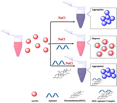 Biosensors | Free Full-Text | Based on Unmodified Aptamer-Gold ...