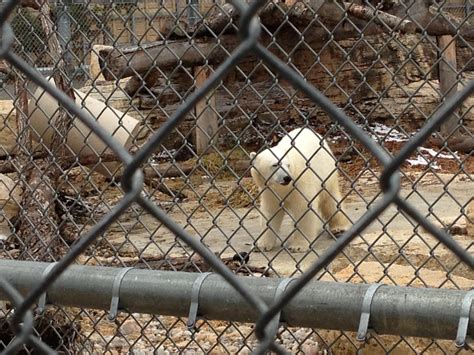 Winnipeg zoo director moving back down under - Winnipeg | Globalnews.ca