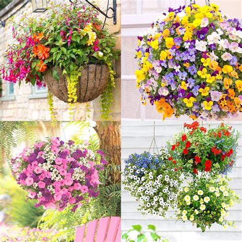 15 Beautiful Flower Hanging Baskets & Best Plant Lists - A Piece Of Rainbow