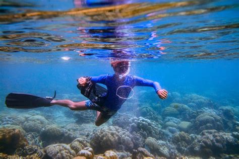 Snorkeling Phi Phi Islands | Blue View Divers