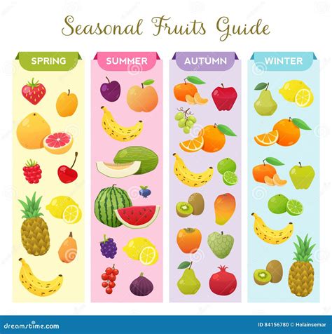 Infographic Sobre Las Frutas Estacionales Ilustración del Vector ...