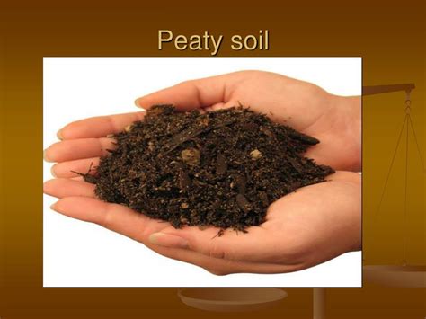 PPT - Types of soil PowerPoint Presentation, free download - ID:998415