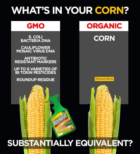 What's in Your Corn?