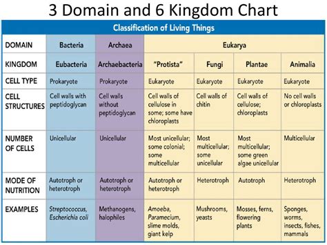 Comparing and contrasting the 3 Domains and Six kingdoms - ppt download