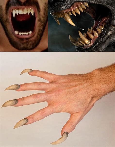 Natural weapons of a Werewolf - Fangs and Claws | Lycans | Hombres lobo ...