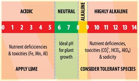 Soil pH - SA | Fact Sheets | soilquality.org.au