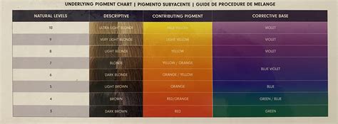 Understanding The Level System In Hair Color – Laura K Collins