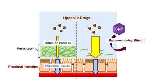 Molecules | Free Full-Text | Utilization of Sodium Nitroprusside as an ...