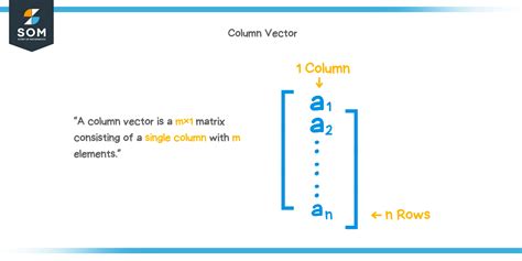 Column vector - Explanation & Examples