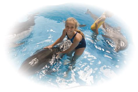 Swim with Dolphin Programme in Dubai – DeeperBlue.com