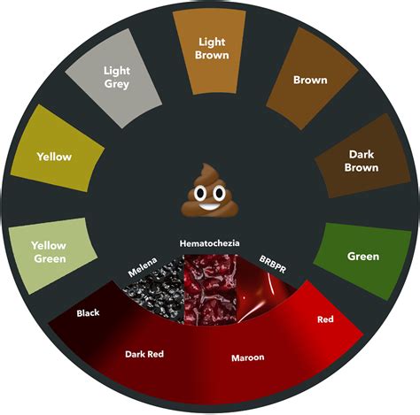 Poop Color Guide: What It Means for Your Health