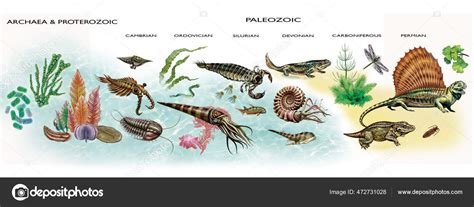 Diagram Development Life Archean Proterozoic Paleozoic Era Geologic ...