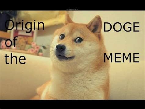 Origin of the Doge meme - YouTube