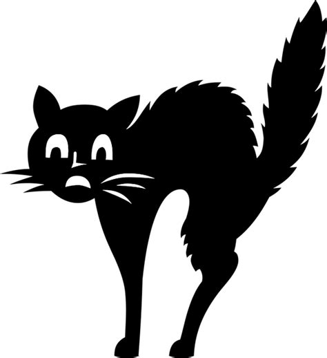 Afraid Animal Cat Cool - Free vector graphic on Pixabay