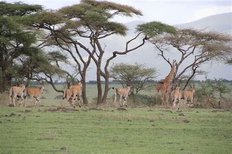 Serengeti National Park | Southern Africa Development Community