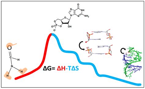 Life | Special Issue : The Origins and Early Evolution of RNA