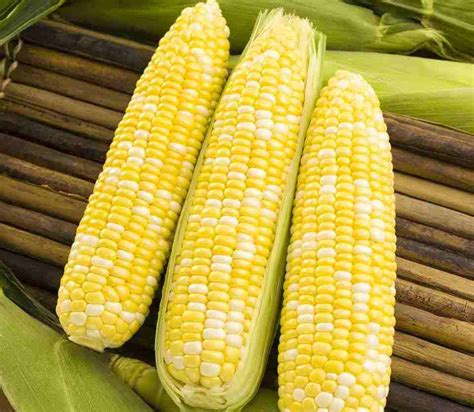 22 Sweet Corn Varieties You Need To Know - Growing Produce