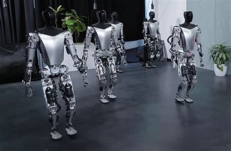 Tesla Bot AI Humanoid Robots Unveil Impressive New Capabilities ...