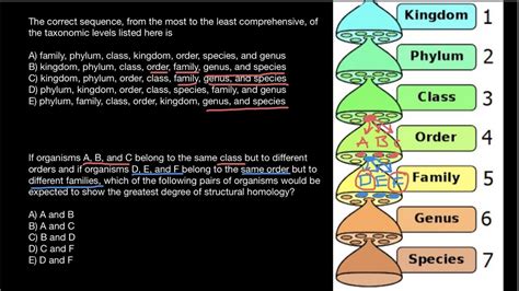 How to memorize taxonomic ranks (mnemonic technique) in 2023 | How to ...