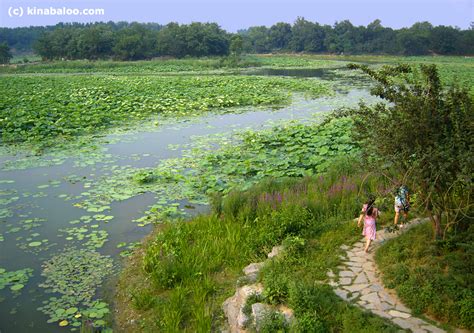 YuanMingYuan Park, Beijing (300 photos)