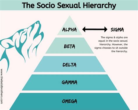 The Sigma Male: Traits, Characteristics & FAQs