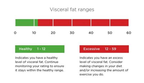 Wyze Scale: Improve description of "visceral fat" - Wishes Granted ...