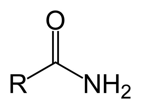 Amide vs. Amine in Organic Chemistry