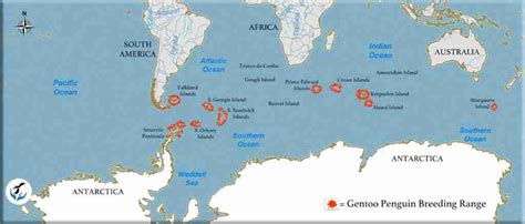 Gentoo Penguin range map | Penguins International