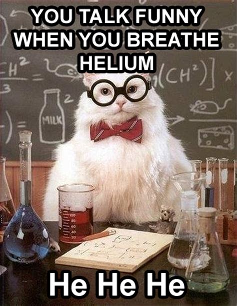 Internet Meme: Chemistry Cat - Mole Empire