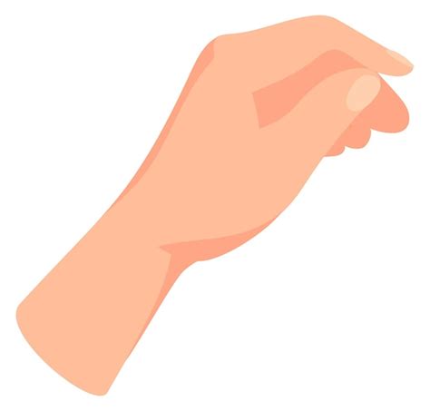 Premium Vector | Human hand cartoon icon Holding something gesture