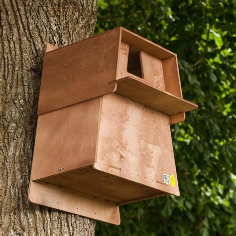 Installing a Barn Owl Nest Box - Funender.com