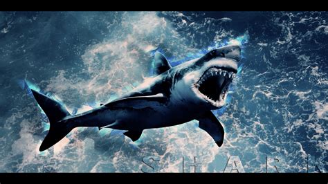 Megalodon Wallpapers - Wallpaper Cave