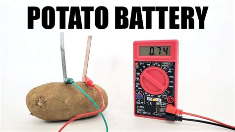 Potato Battery Experiment For Kids | Kids Matttroy