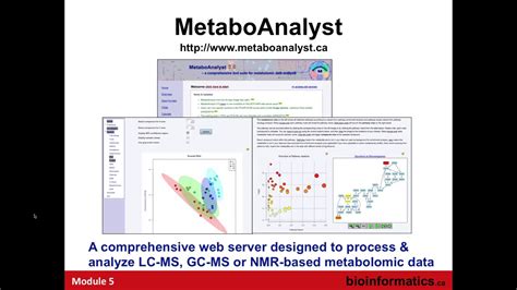 Metabolomic Data Analysis using MetaboAnalyst - YouTube