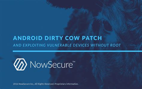 Android Dirty COW patch and exploiting vulnerable devices without root