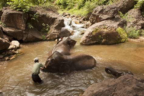 Tourism supports wildlife conservation in Myanmar