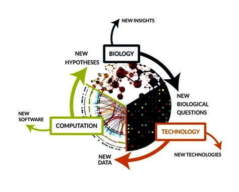 Why Do Scientists Use Models - aku-pk