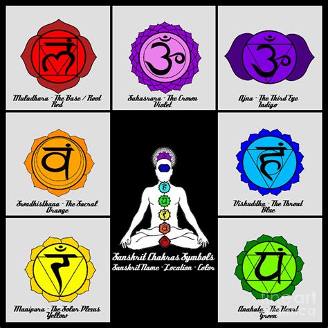 Yoga Reiki Seven Chakra Symbols Chart Digital Art by Ernest Bolds