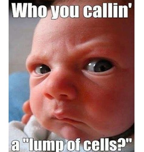 40 Hilarious Angry Baby Memes for 2024 – Child Insider