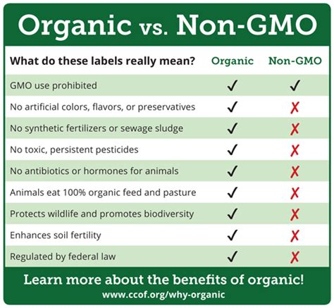 The Difference Between GMOs & Non-GMOs