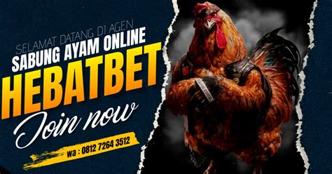 SABUNG AYAM ONLINE - AGEN JUDI ONLINE TERLENGKAP - Medium