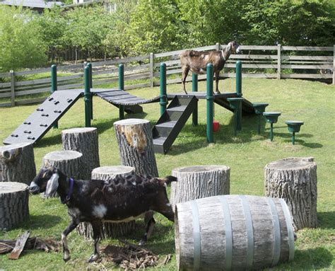 Goat Pen, this playground for goats let them climb and play! Makes you ...