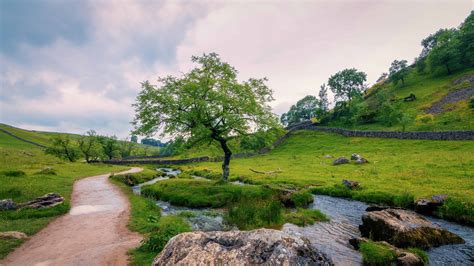 Free picture: sky, summer, landscape, grass, tree, nature, water, outdoor